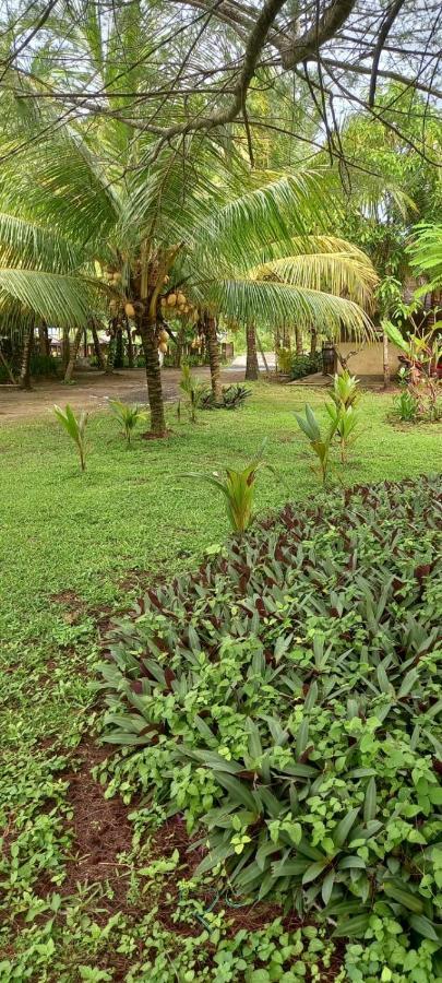 Selong Belanak Bungalows Zewnętrze zdjęcie